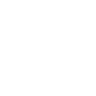 serviceIcon1